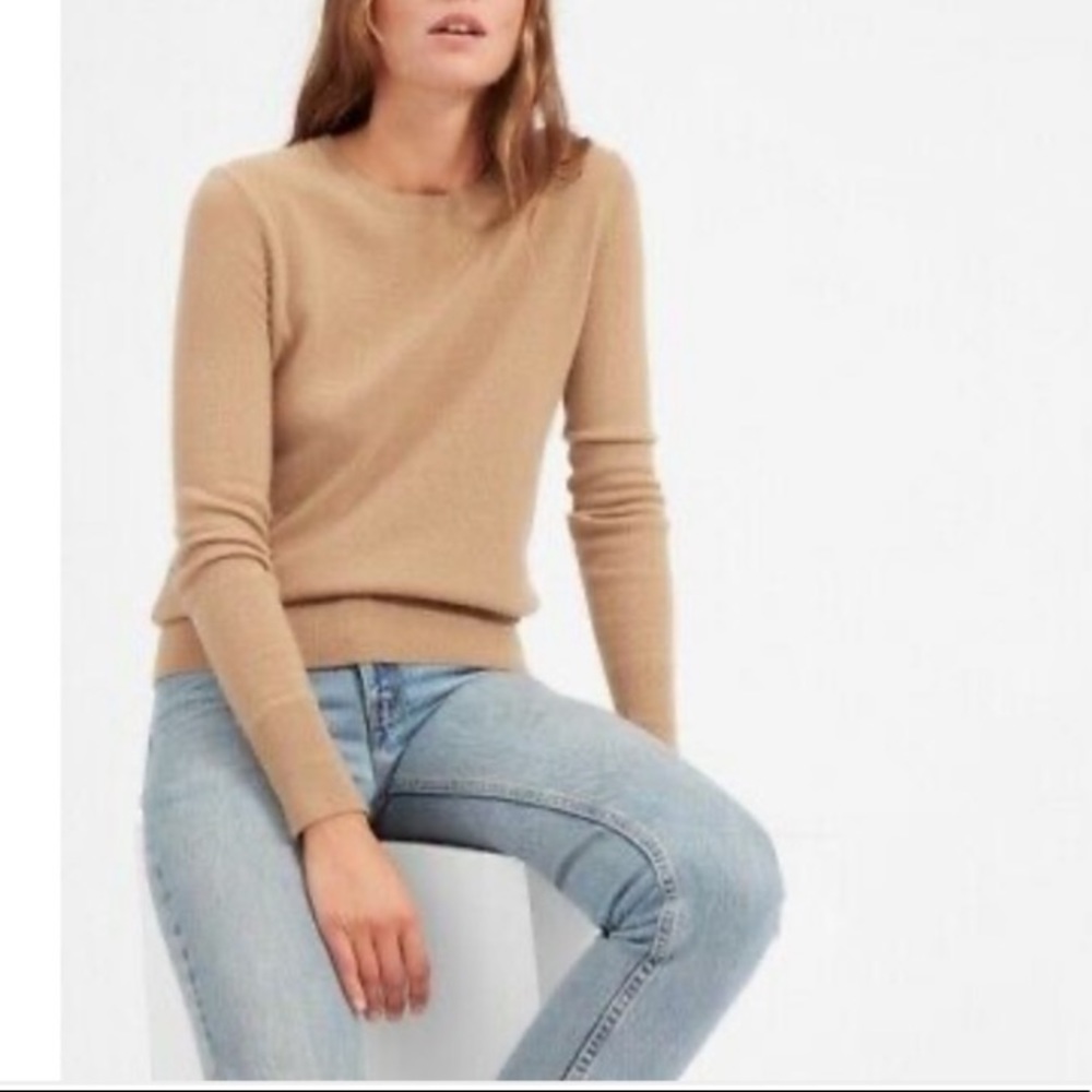 Everlane 100% cashmere crew neck sweater